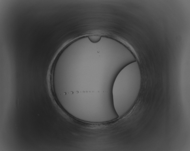 X0000100891091200806241004