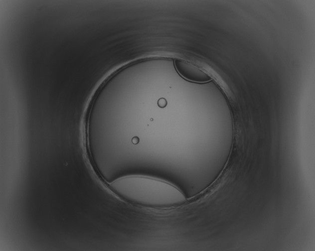X0000100891092200806241004