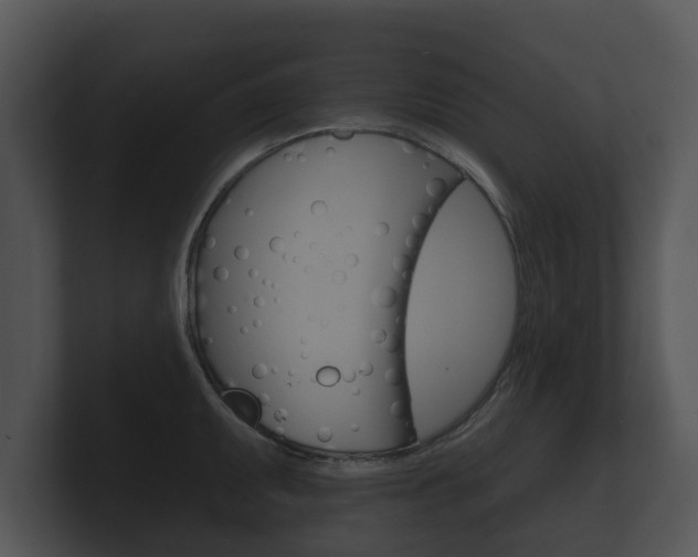 X0000100891095200806241004