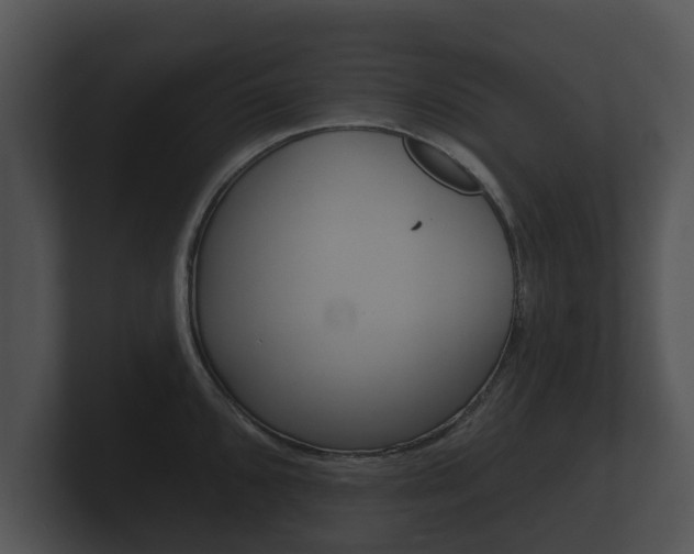 X0000100891096200806241004