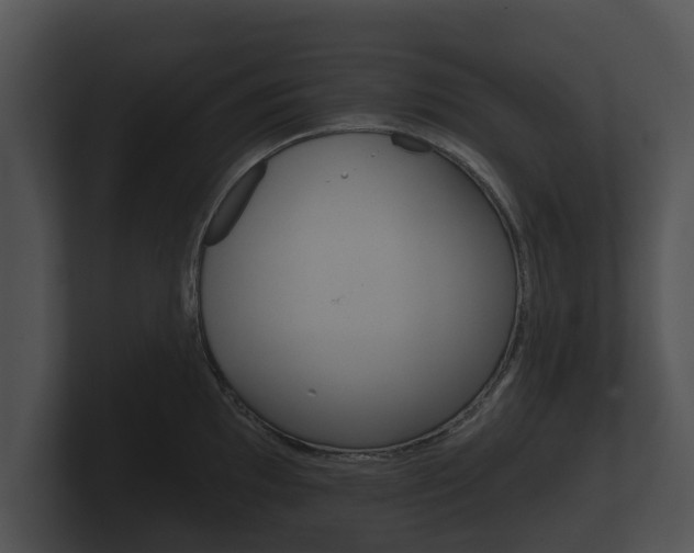X0000100891097200806241004