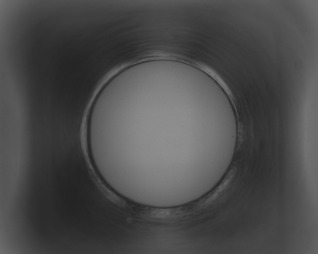 X0000100891098200806241004