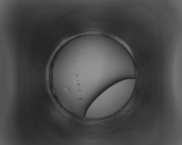 X0000100891099200806241003