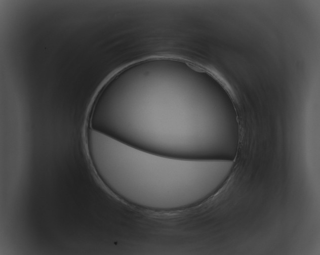 X0000100891100200806241003