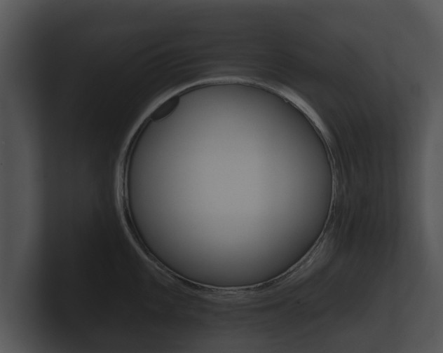 X0000100891101200806241003