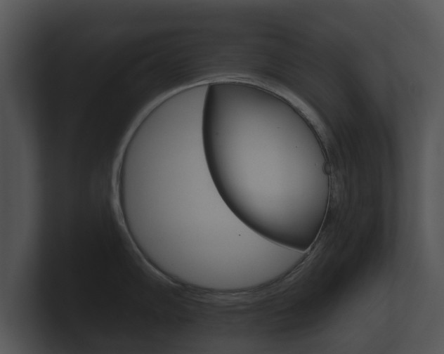 X0000100891102200806241003