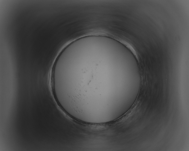 X0000100891103200806241003