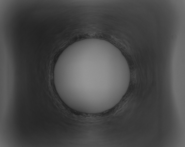 X0000100891105200806241003