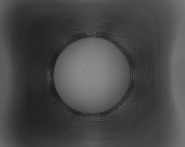 X0000100891106200806241003