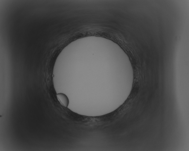 X0000100891109200806241003