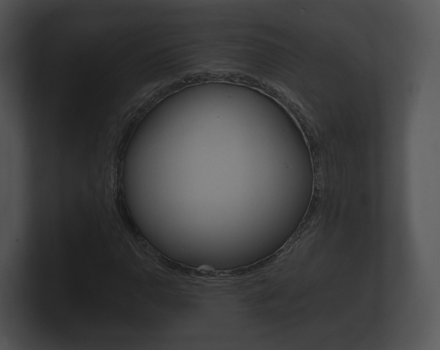 X0000100891110200806241003