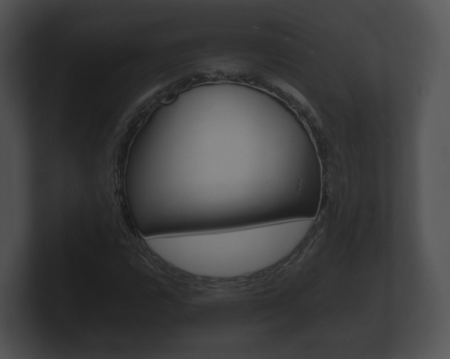 X0000100891112200806241003