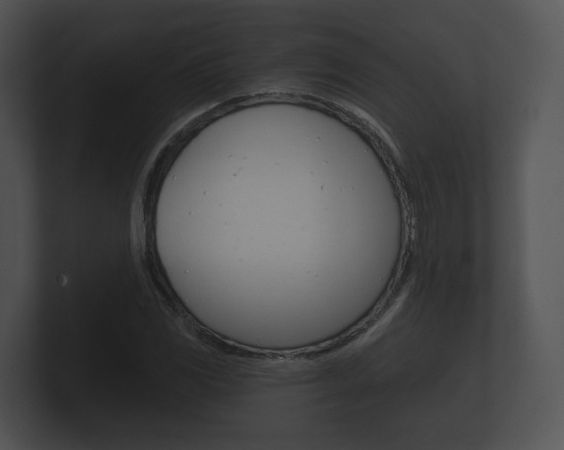 X0000100891117200806241003
