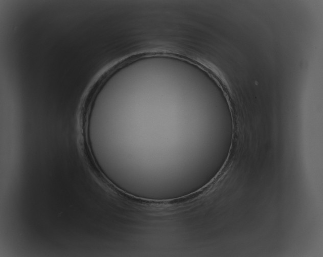 X0000100891120200806241003