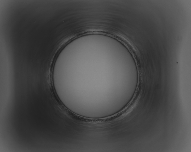 X0000100891121200806241003