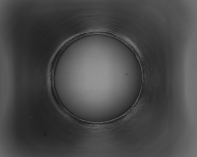X0000100891124200806241003