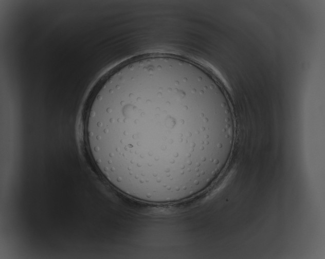 X0000100891125200806241003