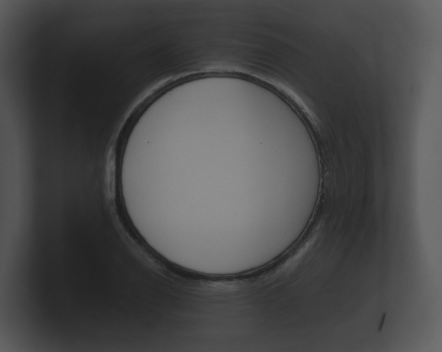 X0000100891126200806241003
