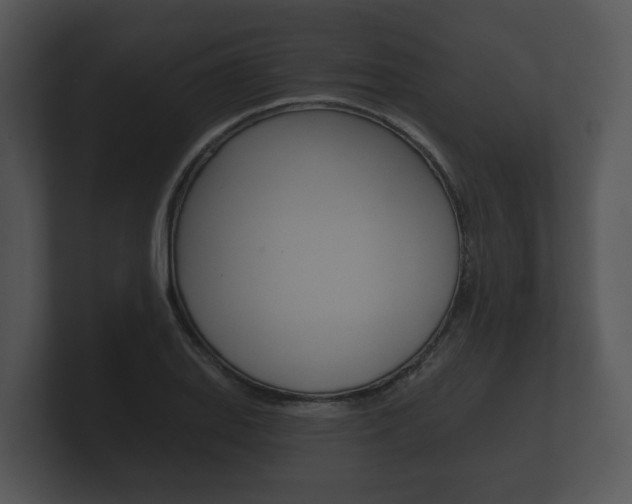 X0000100891127200806241003