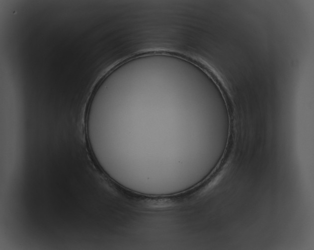 X0000100891129200806241003