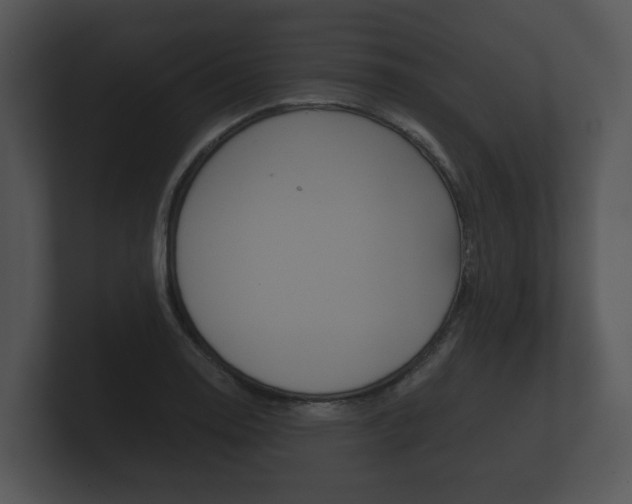 X0000100891130200806241003