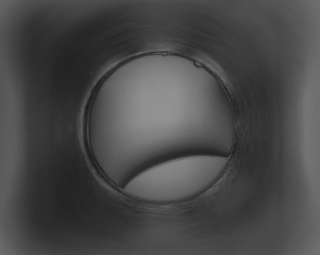 X0000100891135200806241003