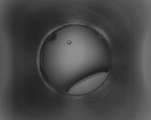 X0000100891136200806241003