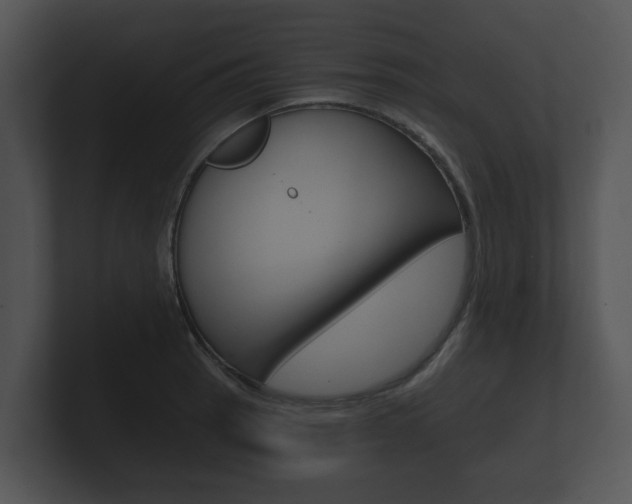 X0000100891137200806241003