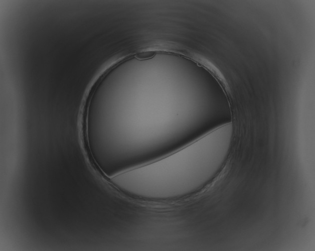 X0000100891138200806241003