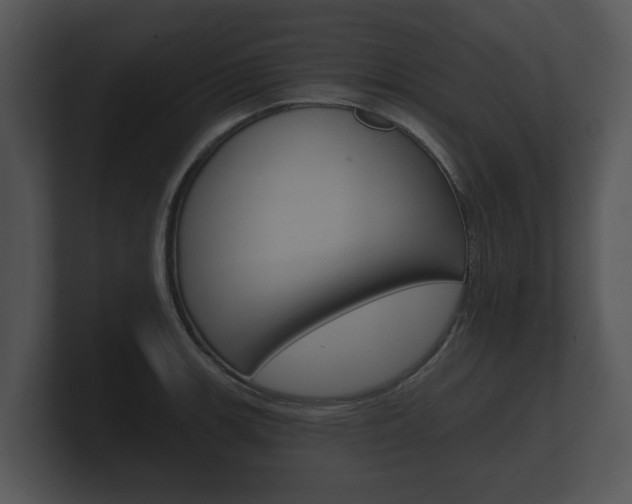 X0000100891139200806241003