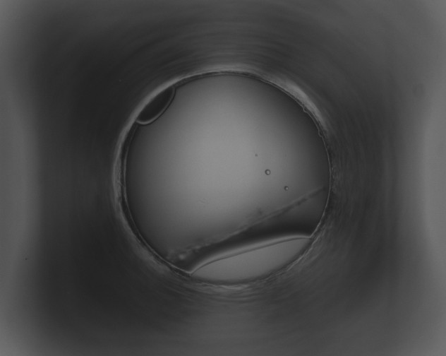 X0000100891140200806241003