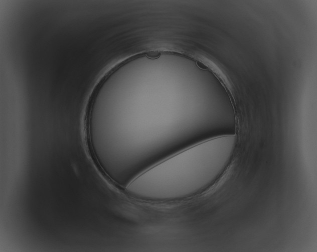 X0000100891141200806241003