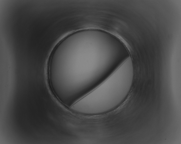 X0000100891142200806241003