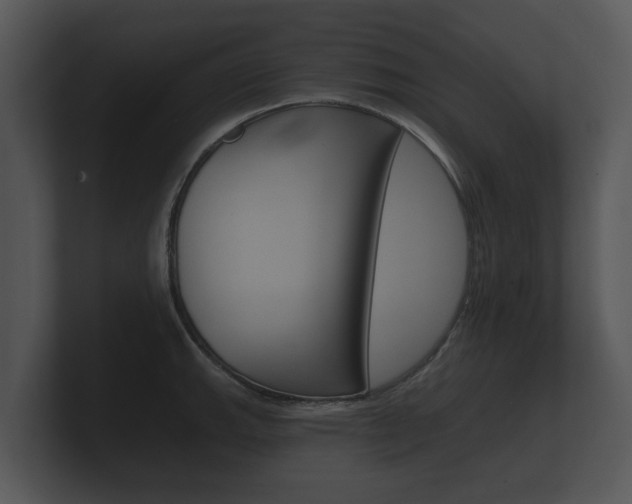 X0000100891143200806241003
