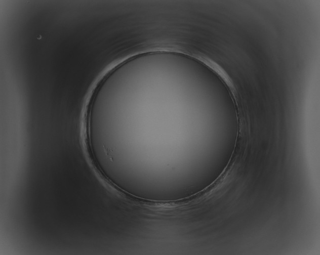 X0000100891144200806241003