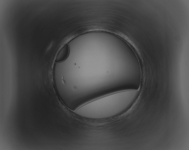 X0000100891145200806241003