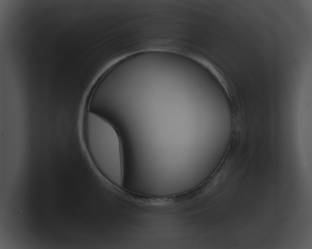 X0000100891147200806241003