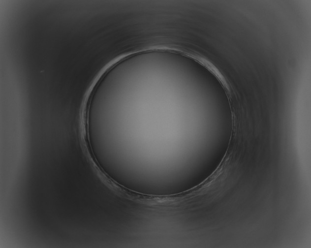 X0000100891148200806241003