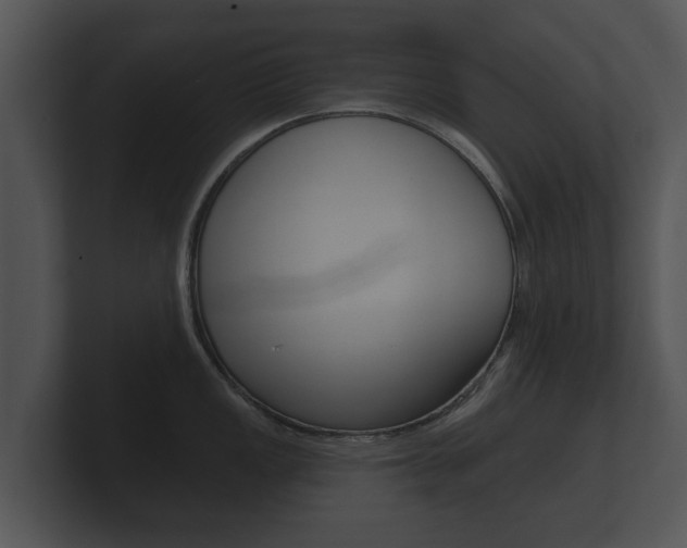 X0000100891149200806241003