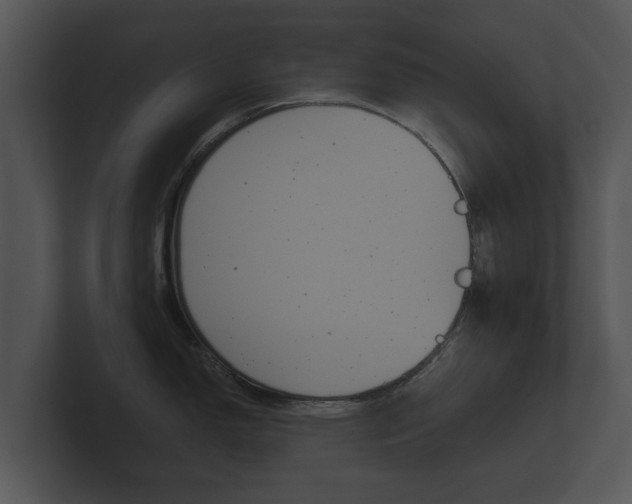 X0000100891150200806241003