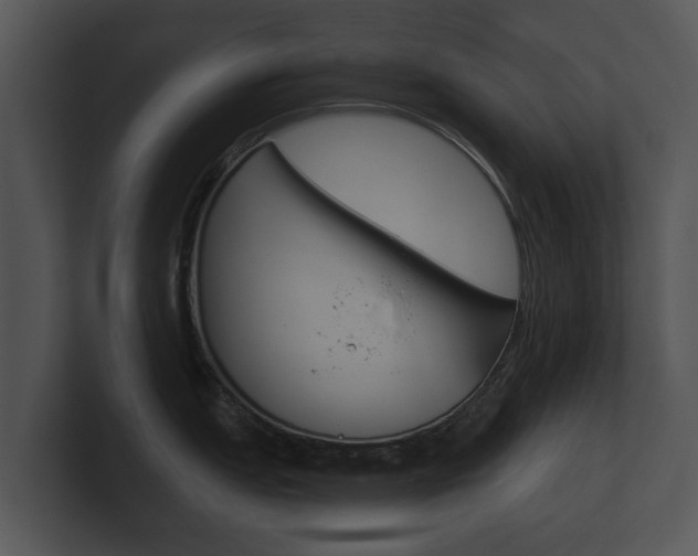 X0000100891151200806241003