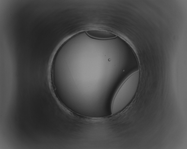X0000100891152200806241003