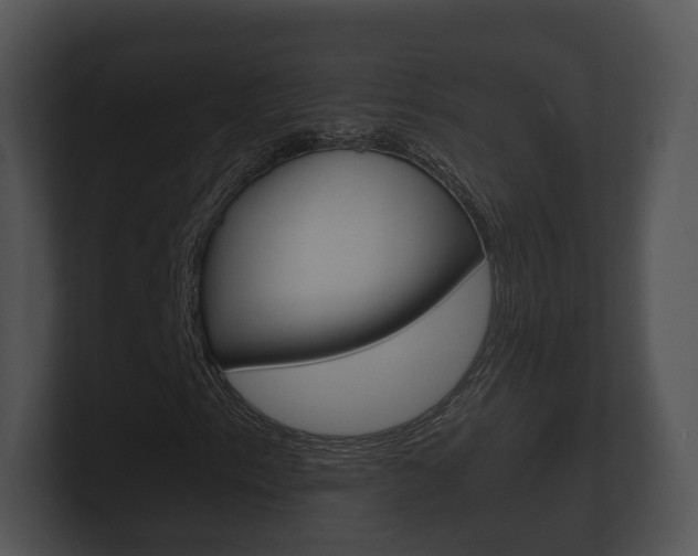 X0000100891153200806241003