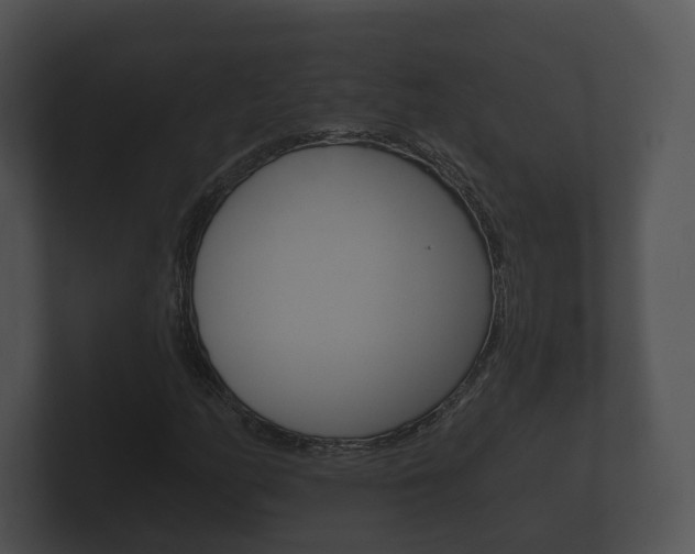 X0000100891158200806241003