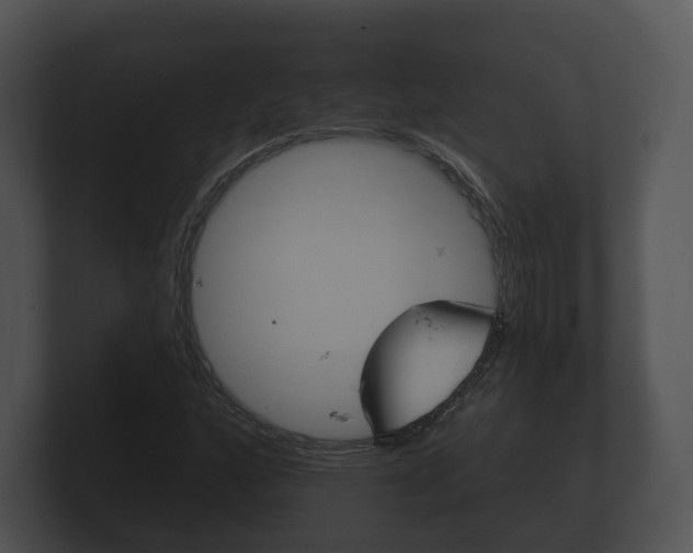 X0000100891160200806241003