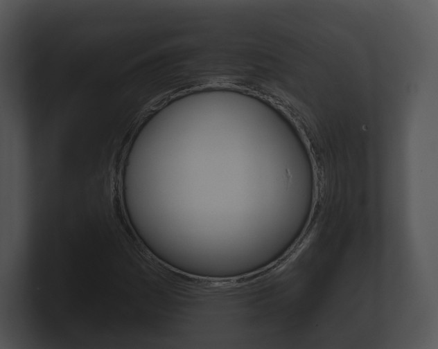 X0000100891161200806241003