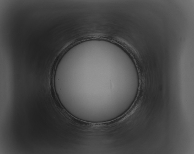 X0000100891162200806241003