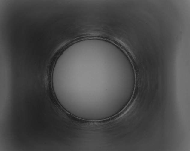 X0000100891163200806241003