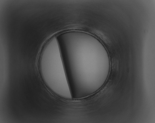 X0000100891164200806241003