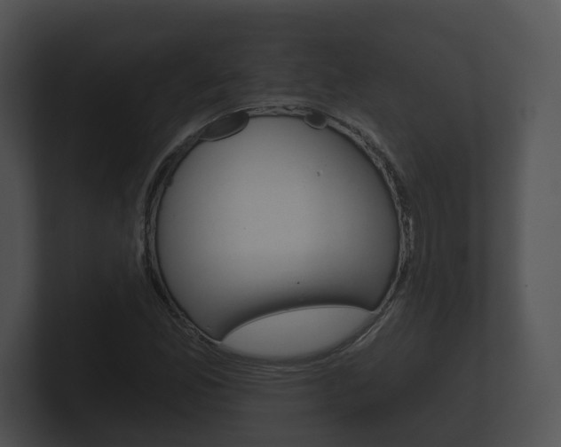 X0000100891165200806241003
